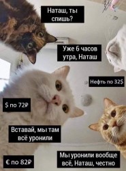 89878538_2743234275761220_3042754127558868992_n.jpg