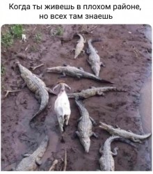 BL_82KtXDpk.jpg