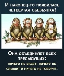 обезьяны.jpg