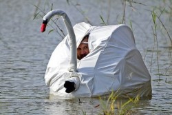 mask2.jpg