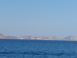 IMG_20200730_180153.jpg