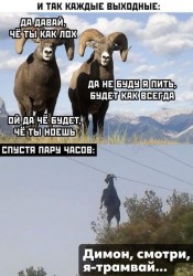 трамвай.jpg