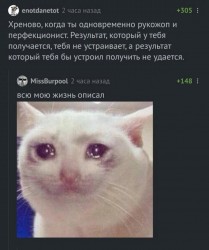 перфекционист рукожоп.jpg