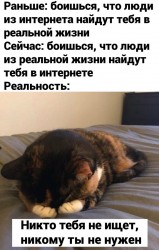 поиск.jpg