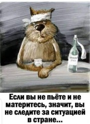 cat-umor.jpg