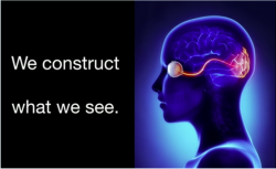 We construct what we see.png