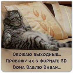 i-kot.gif