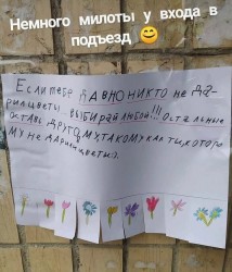 цветы.jpg