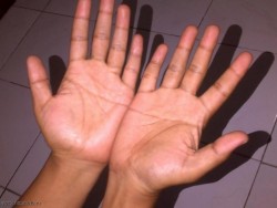 hands1.jpg