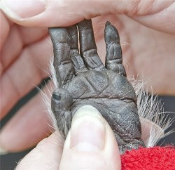 hands2.jpg