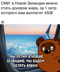 жир.jpg