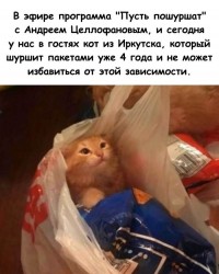 пошуршим.jpg