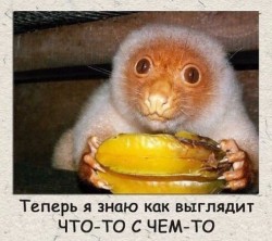 что-то с чем-то.jpg