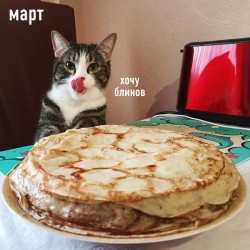 март.jpg