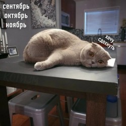 осень.jpg