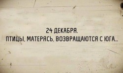 164_n.jpg