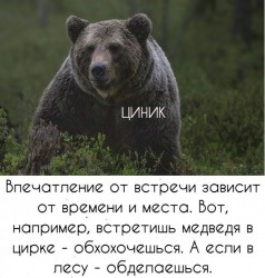встреча.jpg