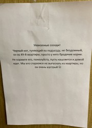 N9mhzgKuodo.jpg