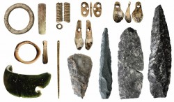 scale_1200.jpg