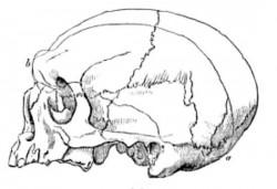 1828 г., остров Маркен в Голландии.jpg