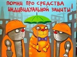 сиз.jpg