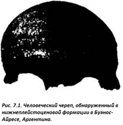 1 500 000-1 000 000 лет назад, череп hss_Буэнос-Айрес, Аргентина.png