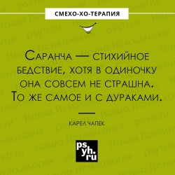 Саранча.jpg