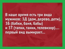 94_n.jpg