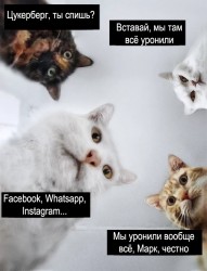 Марк.jpg