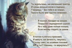 0770_n.jpg