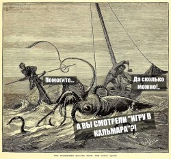 кальмар.jpg