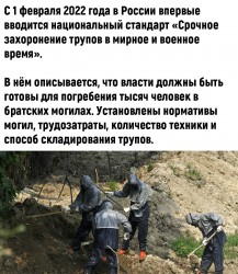 могилы2.jpg
