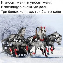 кони.jpg
