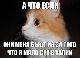тапки.jpg