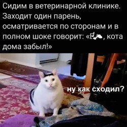 как сходил.jpg