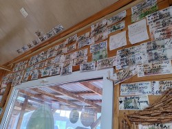 IMG_20231022_072245.jpg