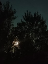 Луна.jpeg