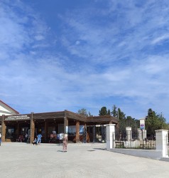IMG_20240822_102237.jpg