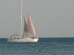 GEDC0340.JPG