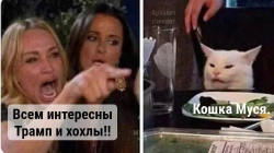 изображение_2025-02-25_220829294.png