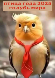 изображение_2025-03-15_212349984.png