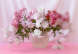 fd48aabe7ad3ed3d1aa696acedc5a812.jpg