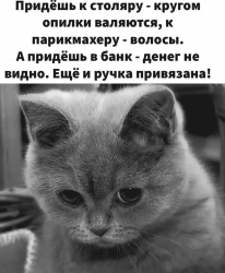 изображение_2025-03-23_204824537.png