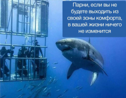 изображение_2025-03-30_122906699.png