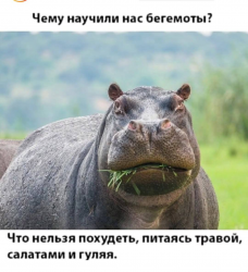 изображение_2025-03-31_011425288.png