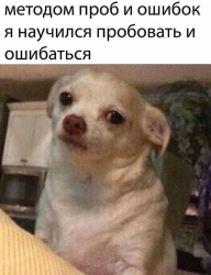 изображение_2025-04-01_003730230.png
