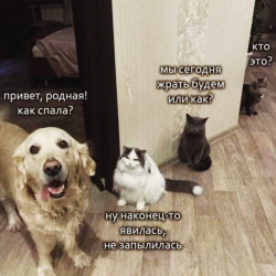 изображение_2025-04-01_122324502.png