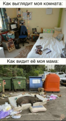 изображение_2025-04-02_173056075.png