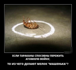 изображение_2025-04-02_211016791.png