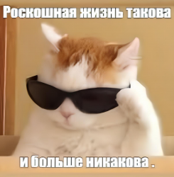 изображение_2025-04-04_213557996.png
